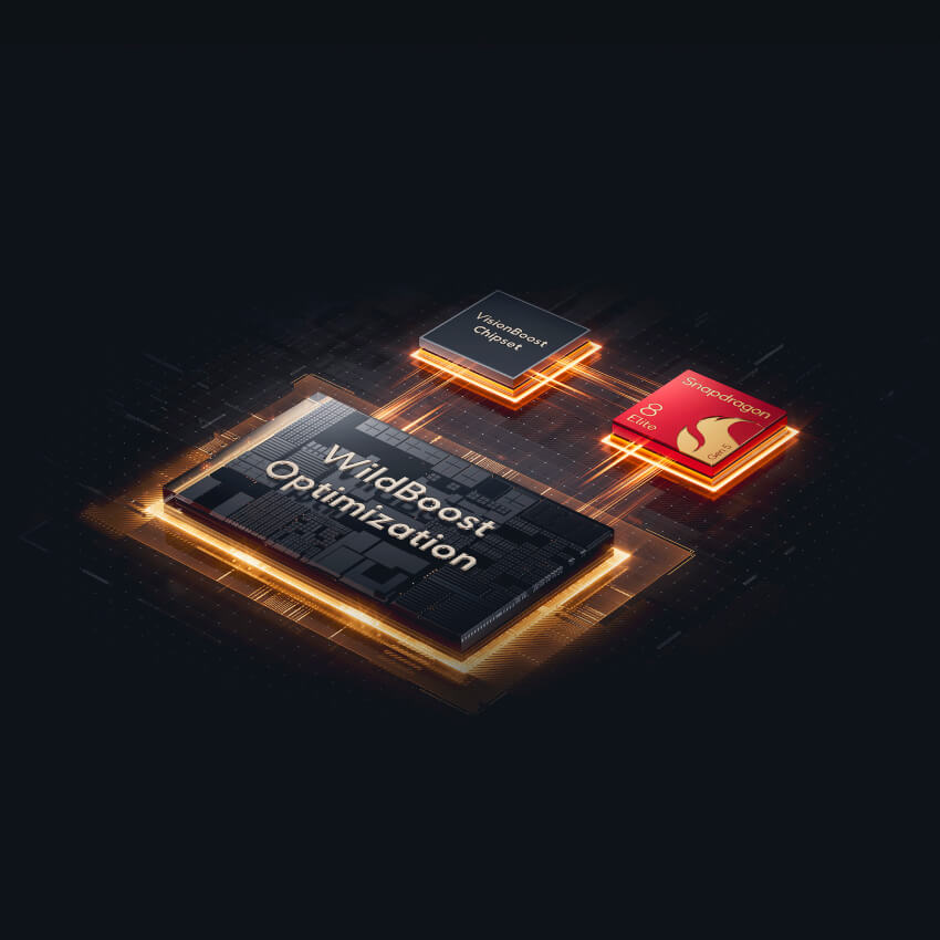 Optimizacija „WildBoost“